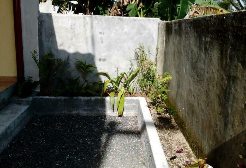 חדר סטנדרט, Radiya Guesthouse