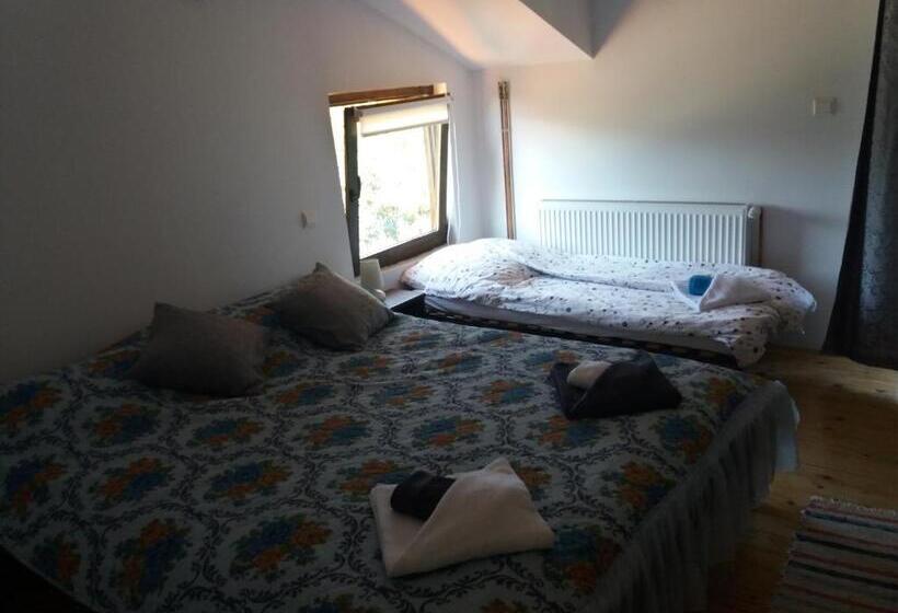 Номер Стандарт, Pensiunea Carma