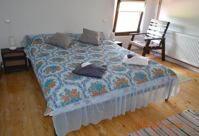 Номер Стандарт, Pensiunea Carma