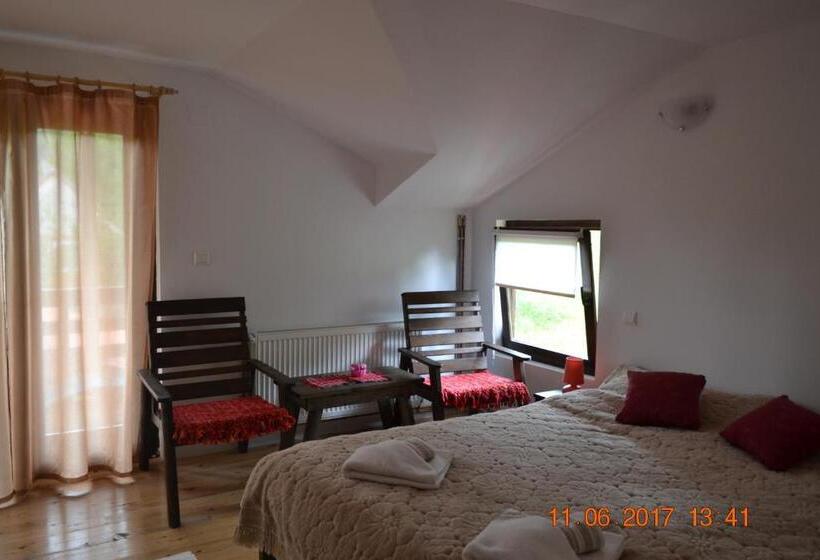 Номер Стандарт, Pensiunea Carma