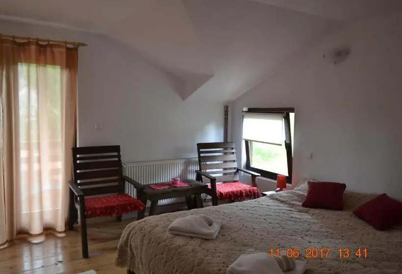 Standard-huone, Pensiunea Carma