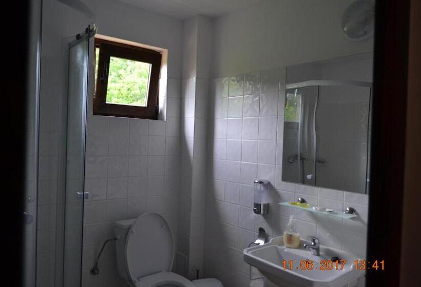 Номер Стандарт, Pensiunea Carma