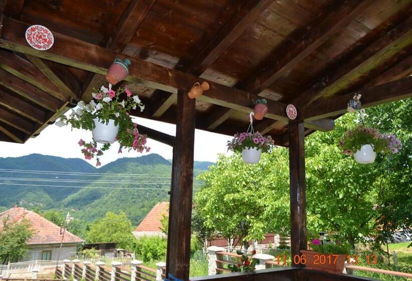 Номер Стандарт, Pensiunea Carma