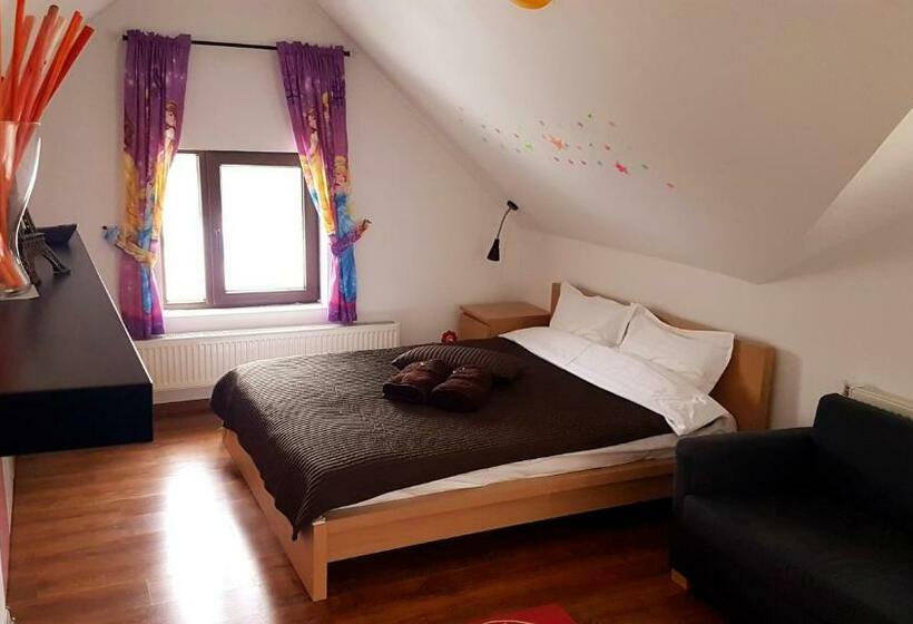 חדר משפחתי, Pensiunea Casa Runcu Buzau