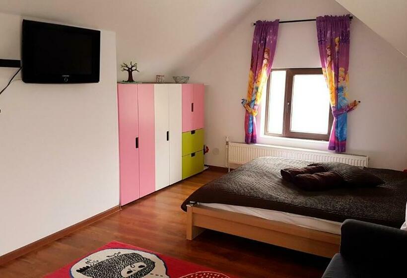 Семейный Номер, Pensiunea Casa Runcu Buzau