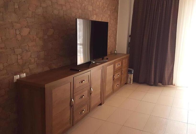 Номер Стандарт, Pensiunea Casa Runcu Buzau
