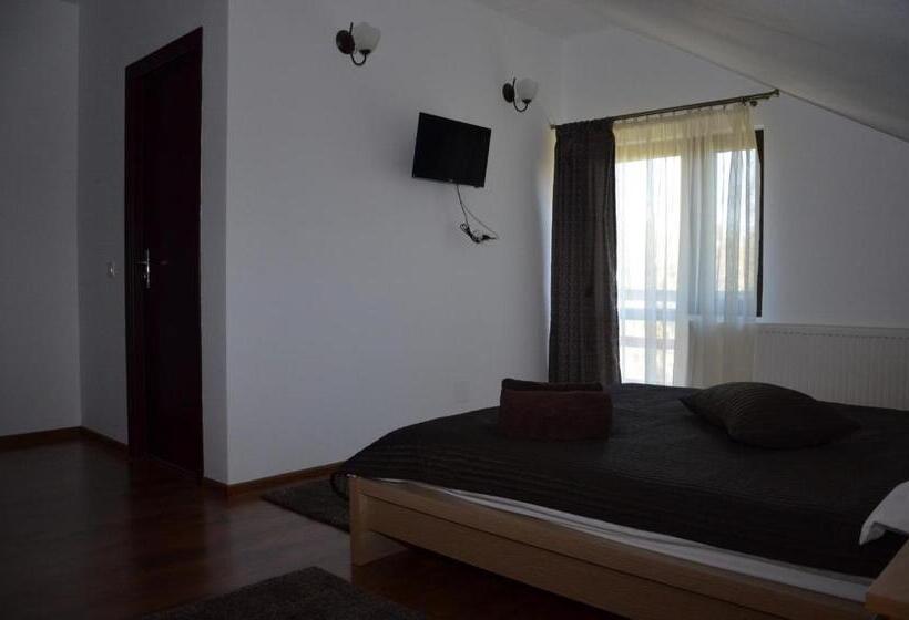 חדר סטנדרט, Pensiunea Casa Runcu Buzau