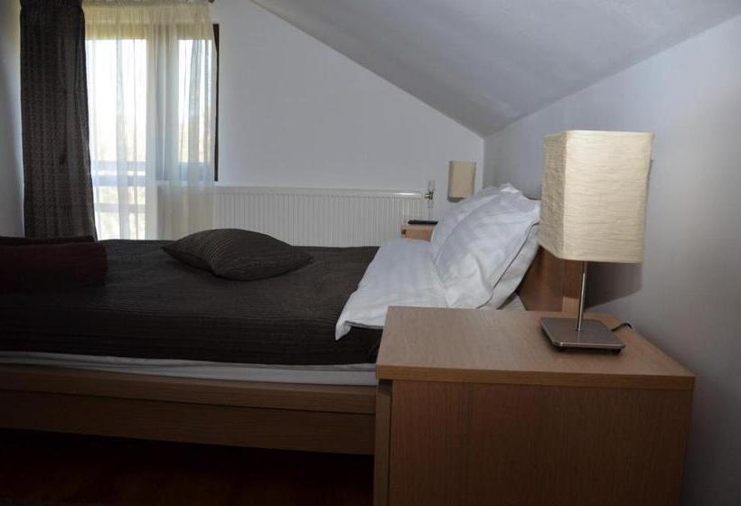 חדר סטנדרט, Pensiunea Casa Runcu Buzau