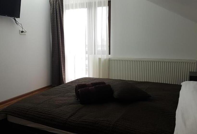 חדר סטנדרט, Pensiunea Casa Runcu Buzau