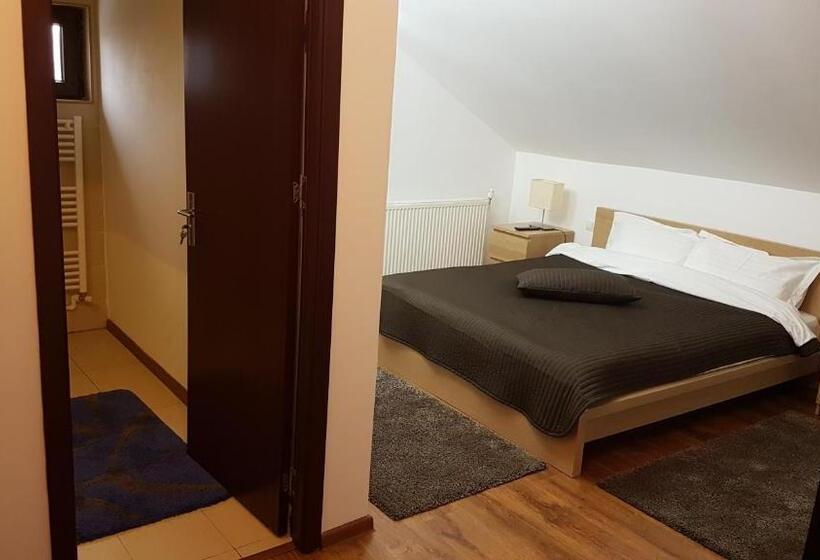 Номер Стандарт, Pensiunea Casa Runcu Buzau