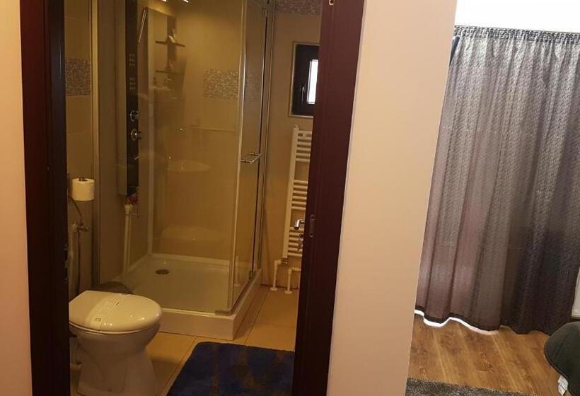 חדר סטנדרט, Pensiunea Casa Runcu Buzau