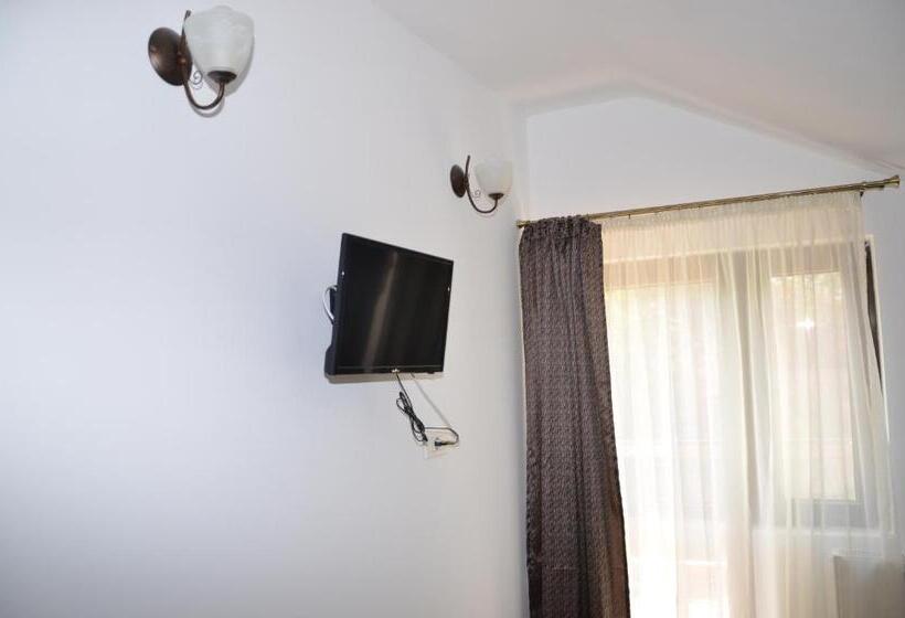 חדר סטנדרט, Pensiunea Casa Runcu Buzau