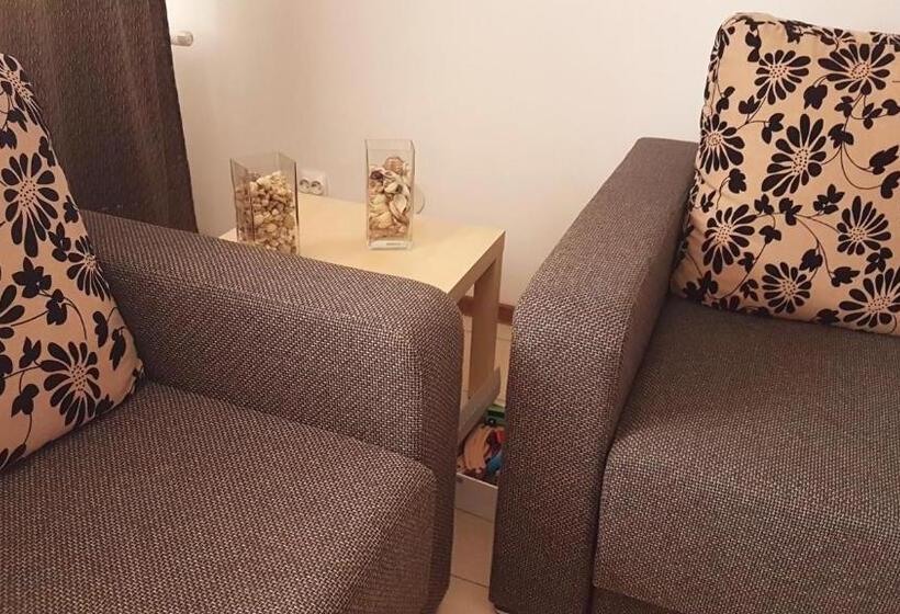 Номер Стандарт, Pensiunea Casa Runcu Buzau