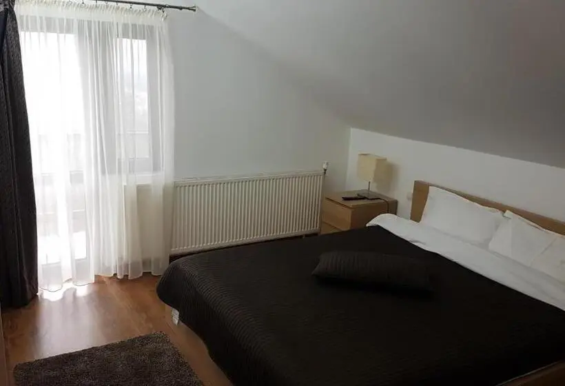 Perhehuone, Pensiunea Casa Runcu Buzau