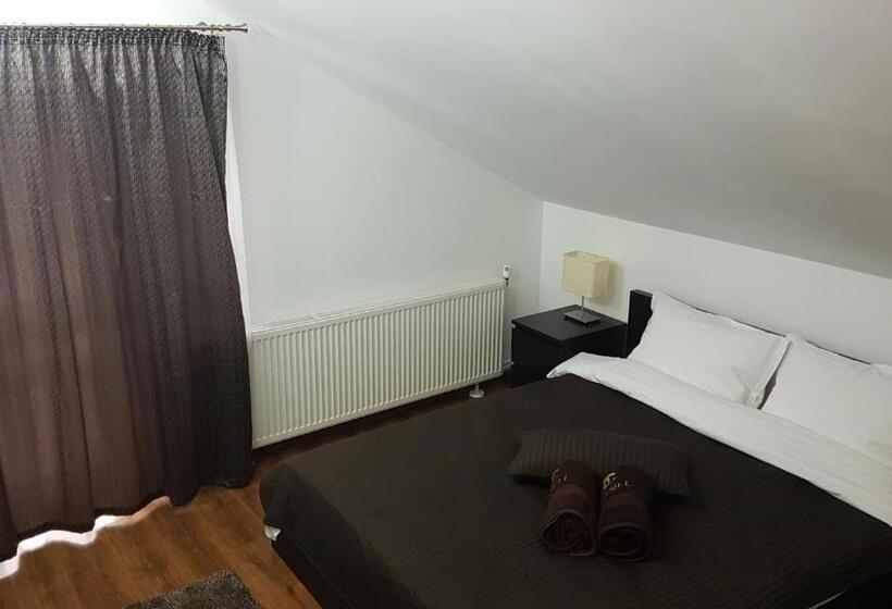 Дом 4 Спальни, Pensiunea Casa Runcu Buzau
