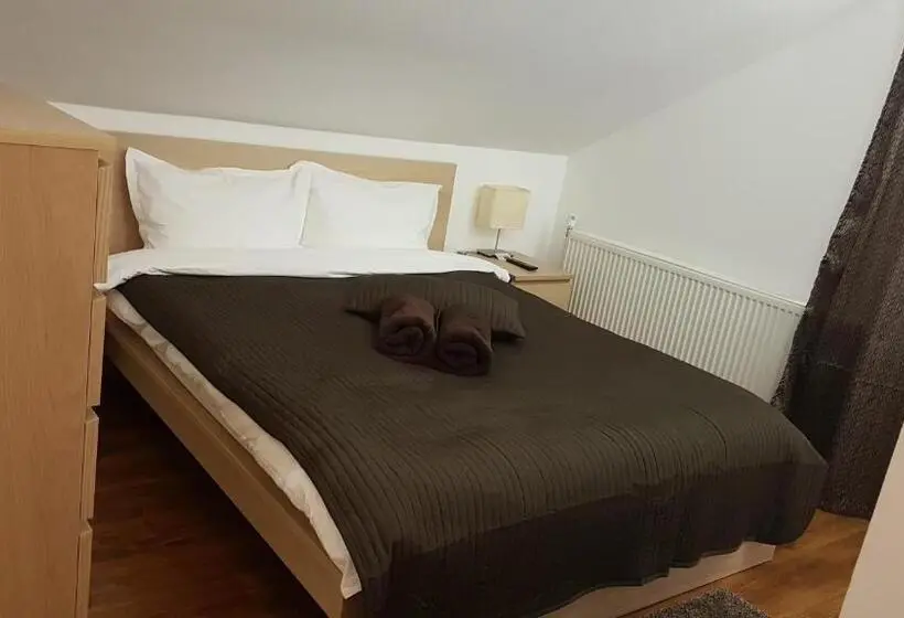 Standard-huone, Pensiunea Casa Runcu Buzau