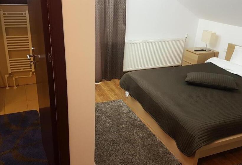 בית, 4 חדרי שינה, Pensiunea Casa Runcu Buzau