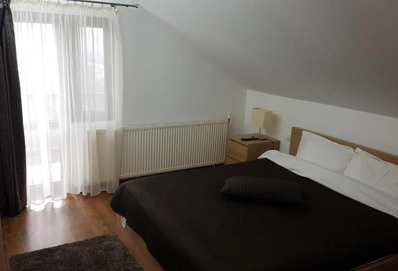 בית, 4 חדרי שינה, Pensiunea Casa Runcu Buzau