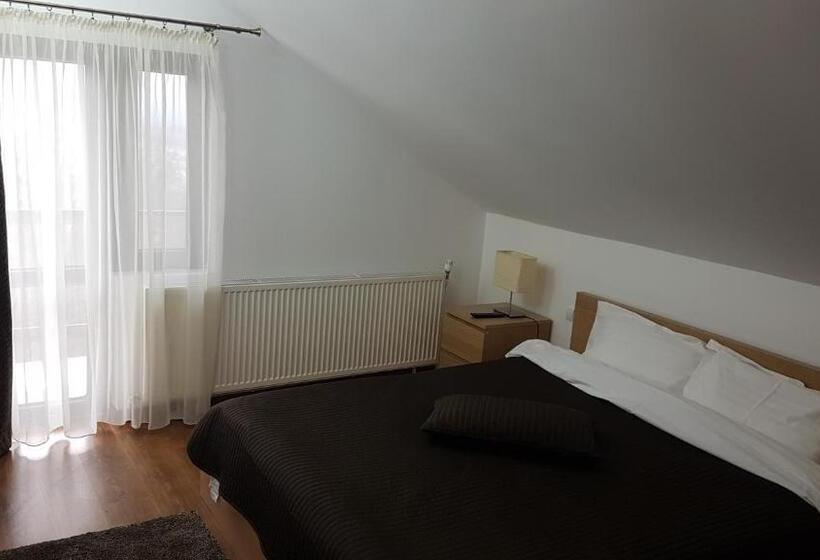 Дом 4 Спальни, Pensiunea Casa Runcu Buzau
