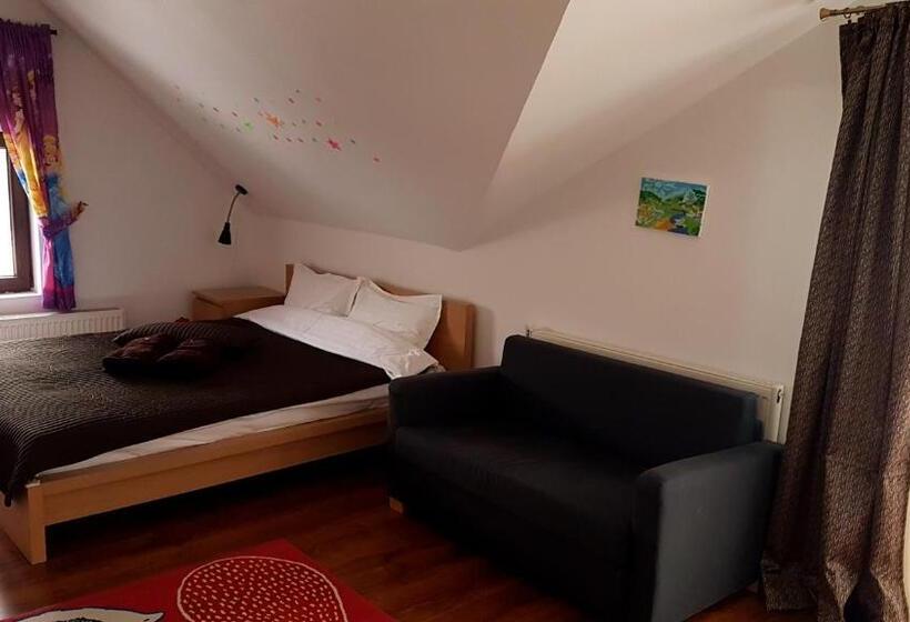 בית, 4 חדרי שינה, Pensiunea Casa Runcu Buzau