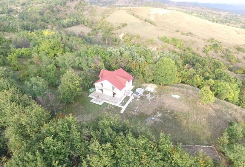 Дом 4 Спальни, Pensiunea Casa Runcu Buzau