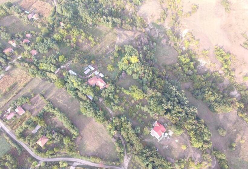 בית, 4 חדרי שינה, Pensiunea Casa Runcu Buzau