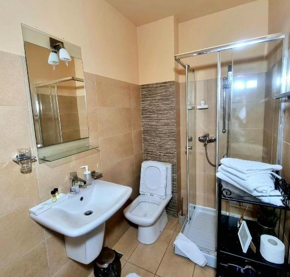 Стандартный Номер Кровать Кинг, Pensiunea Tobo