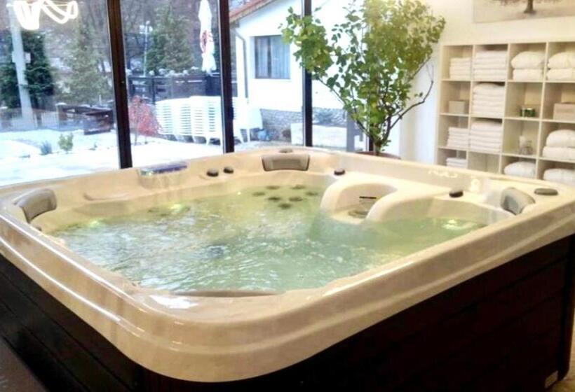 Люкс с Балконом, Pensiunea Tobo