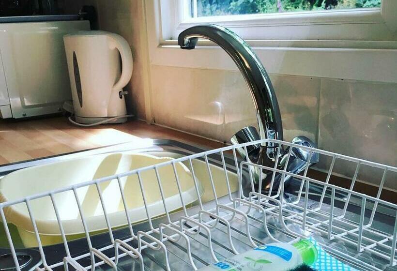 بنجلو قياسى غرفتين نوم, Ruthern Valley Holidays