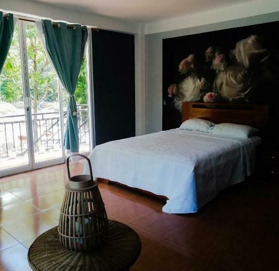 スタンダードルーム, Zoila's Suite Escape