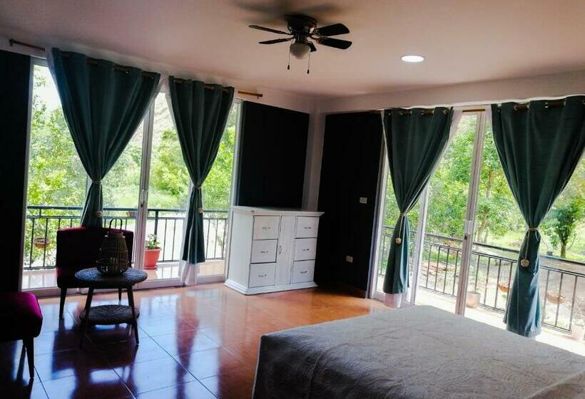 スタンダードルーム, Zoila's Suite Escape