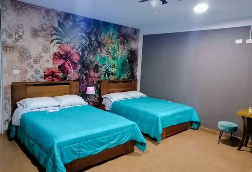 Номер Стандарт, Zoila's Suite Escape