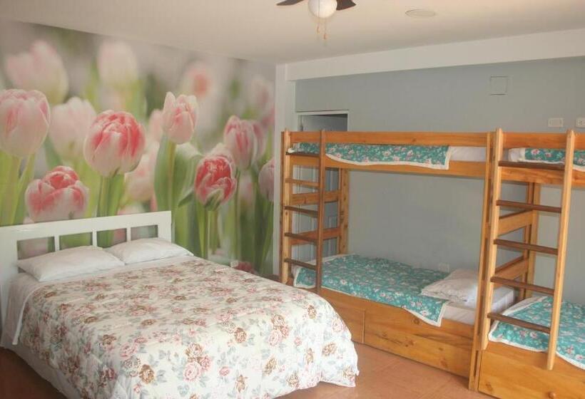 スイート（家族用）, Zoila's Suite Escape