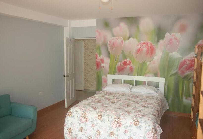 Family Suite, Zoila's Suite Escape