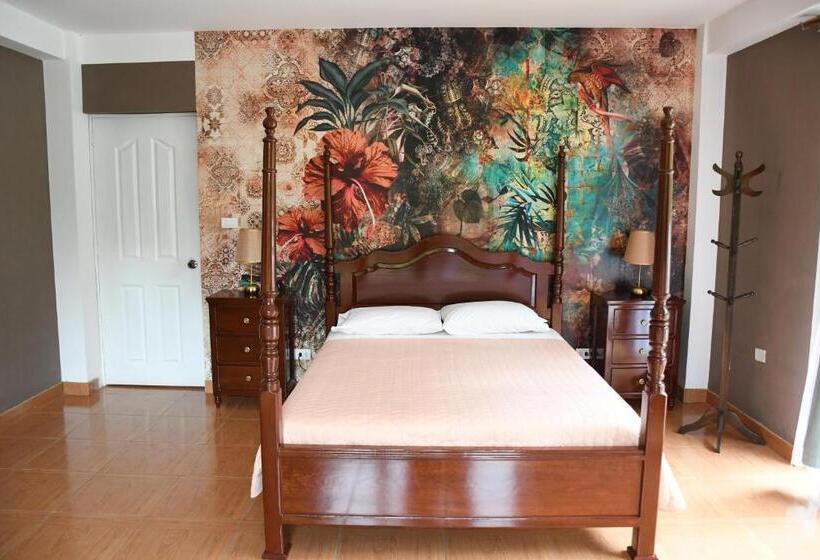 スタンダードルーム, Zoila's Suite Escape