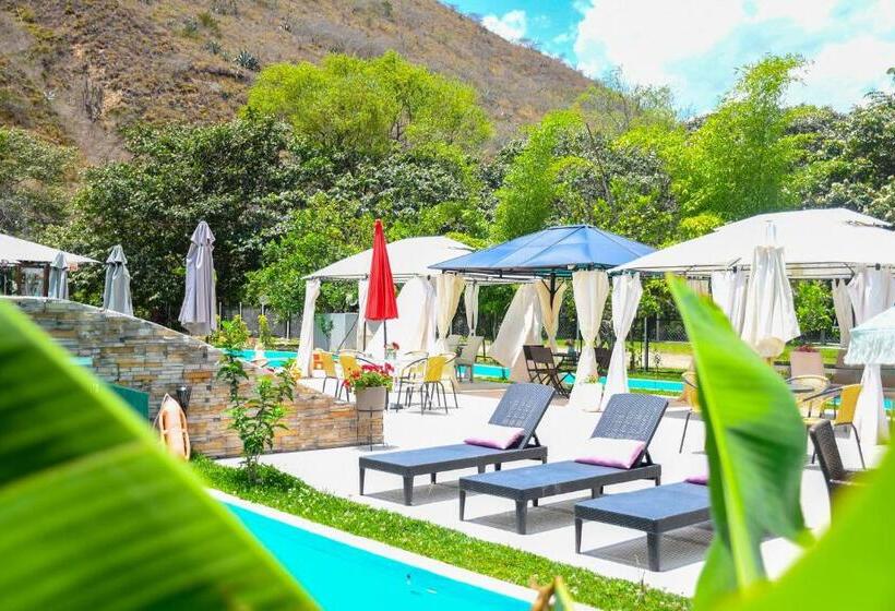 スタンダードルーム, Zoila's Suite Escape