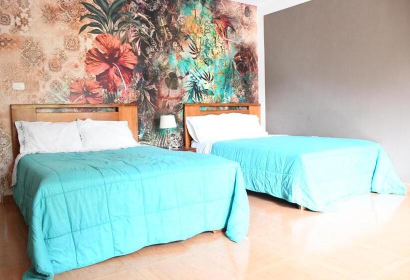 スタンダードルーム, Zoila's Suite Escape