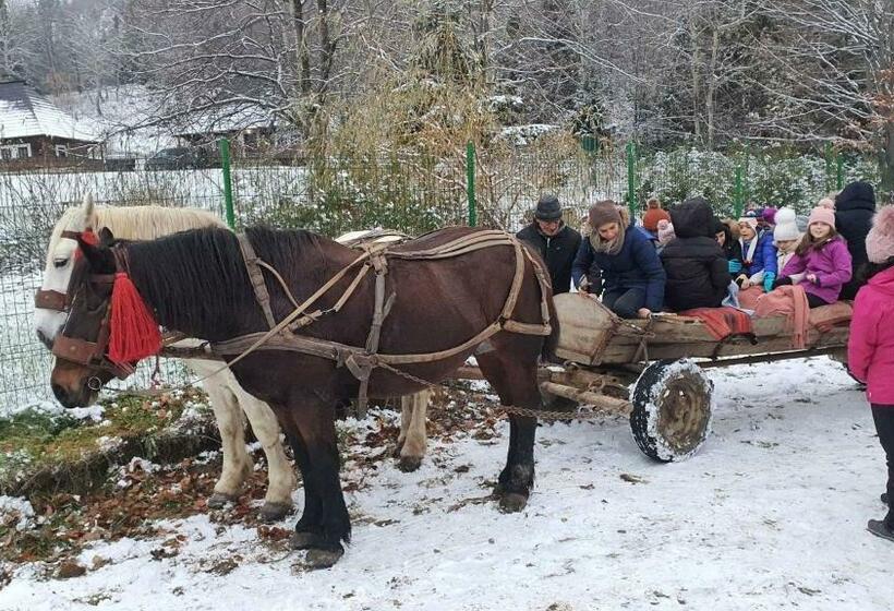 Бунгало Стандарт 3 Спальни, Vatra Boiereasca