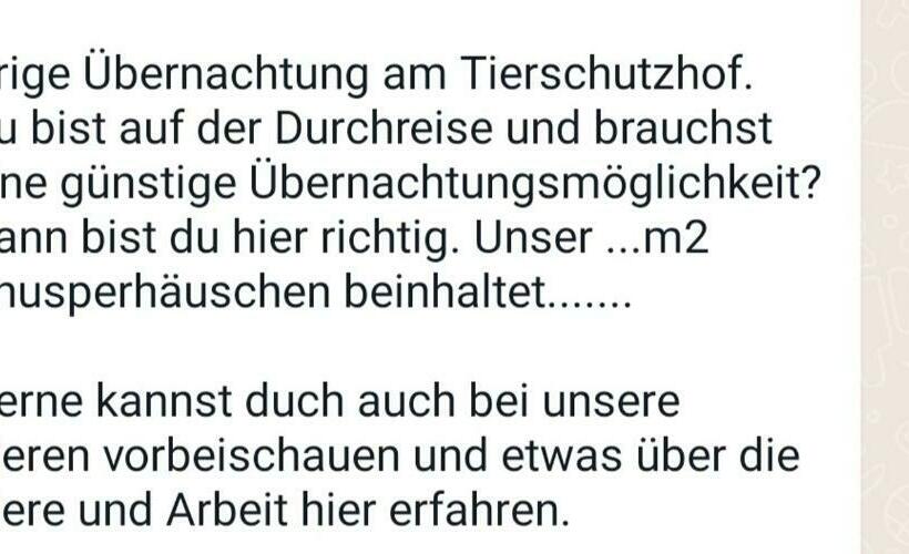 חדר אקונומי יחיד, A Sissy Hof