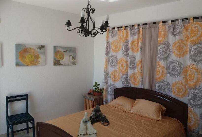 스탠다드 스튜디오, L'artisan