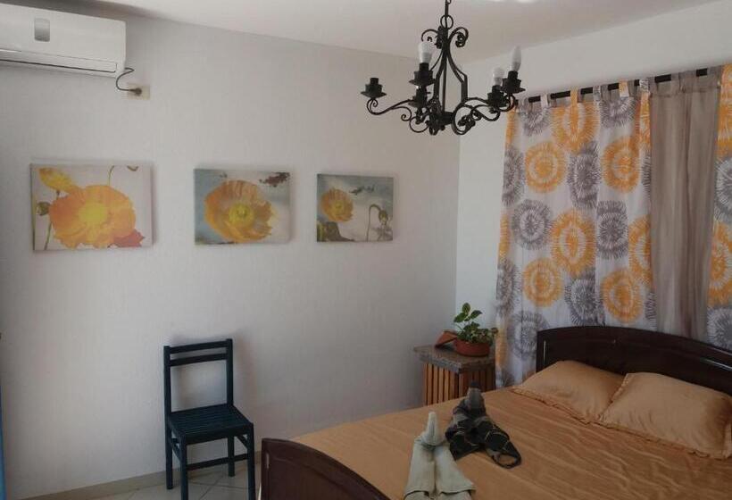 스탠다드 스튜디오, L'artisan