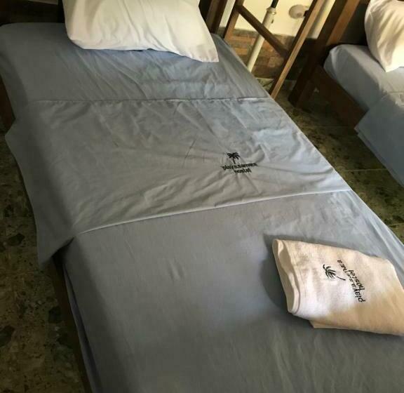 ルームシェアのワンベッド, Playa Samara Hostel