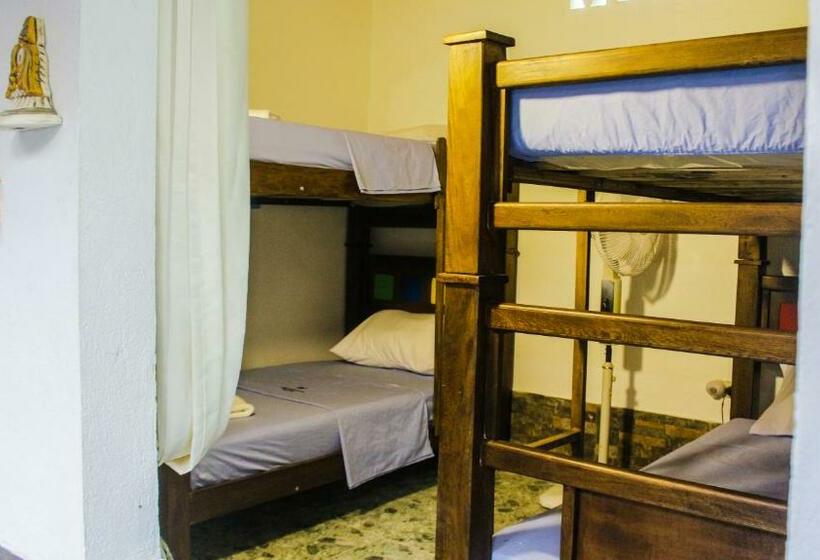 ルームシェアのワンベッド, Playa Samara Hostel