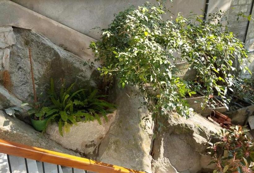 غرفة قياسية مطلّة علي الحديقة, Sinali Villa