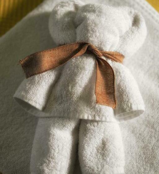 Номер Стандарт, Delta Mayanka