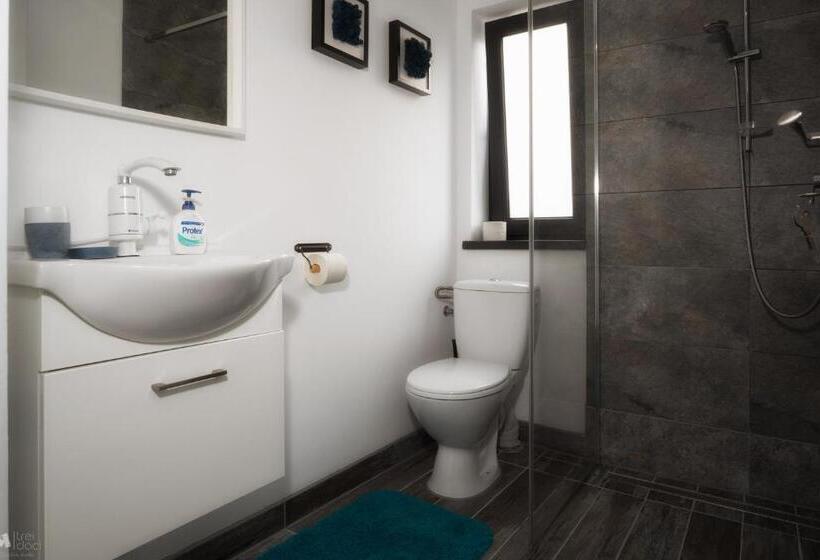 Номер Стандарт, Delta Mayanka