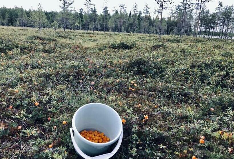 스탠다드 룸 호수 전망, Metsa Kolo