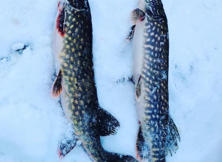 스탠다드 룸 호수 전망, Metsa Kolo