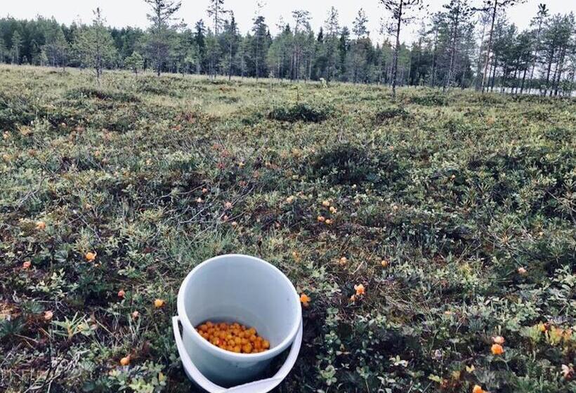 Трехместный Номер Стандарт Вид на Сад, Metsa Kolo