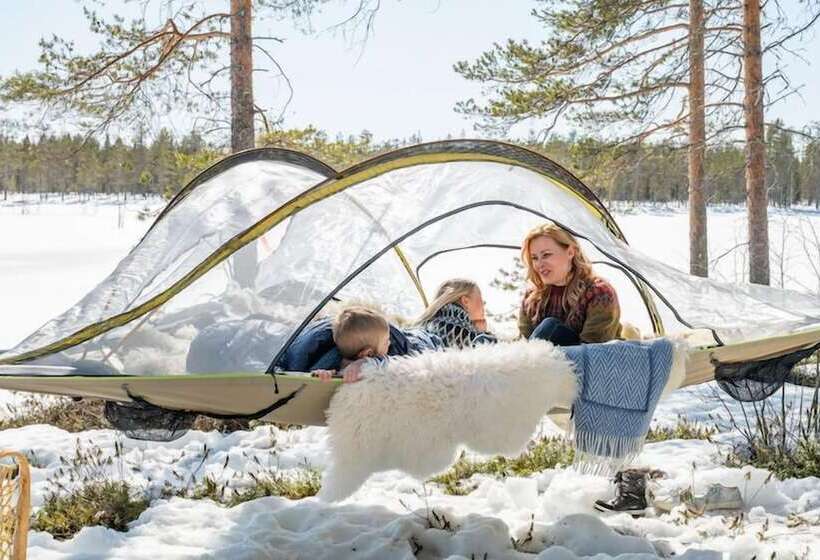 Standard Tent, Metsa Kolo